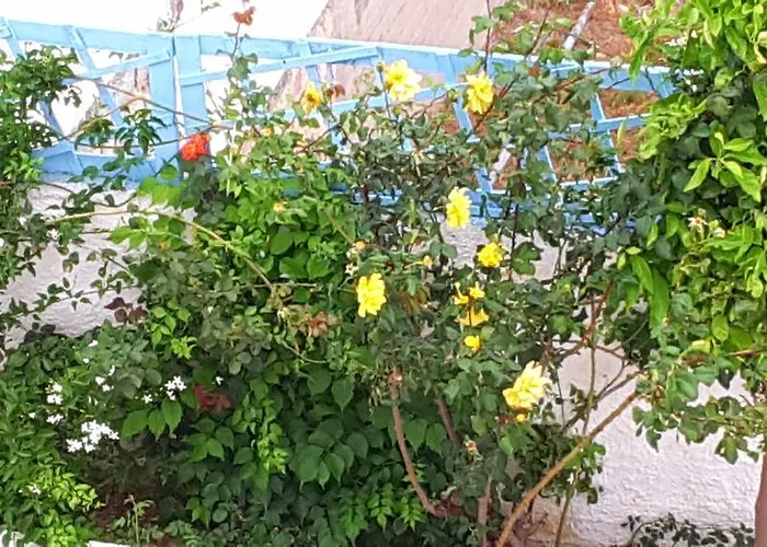 Apartament Giorgia Lodging Páros